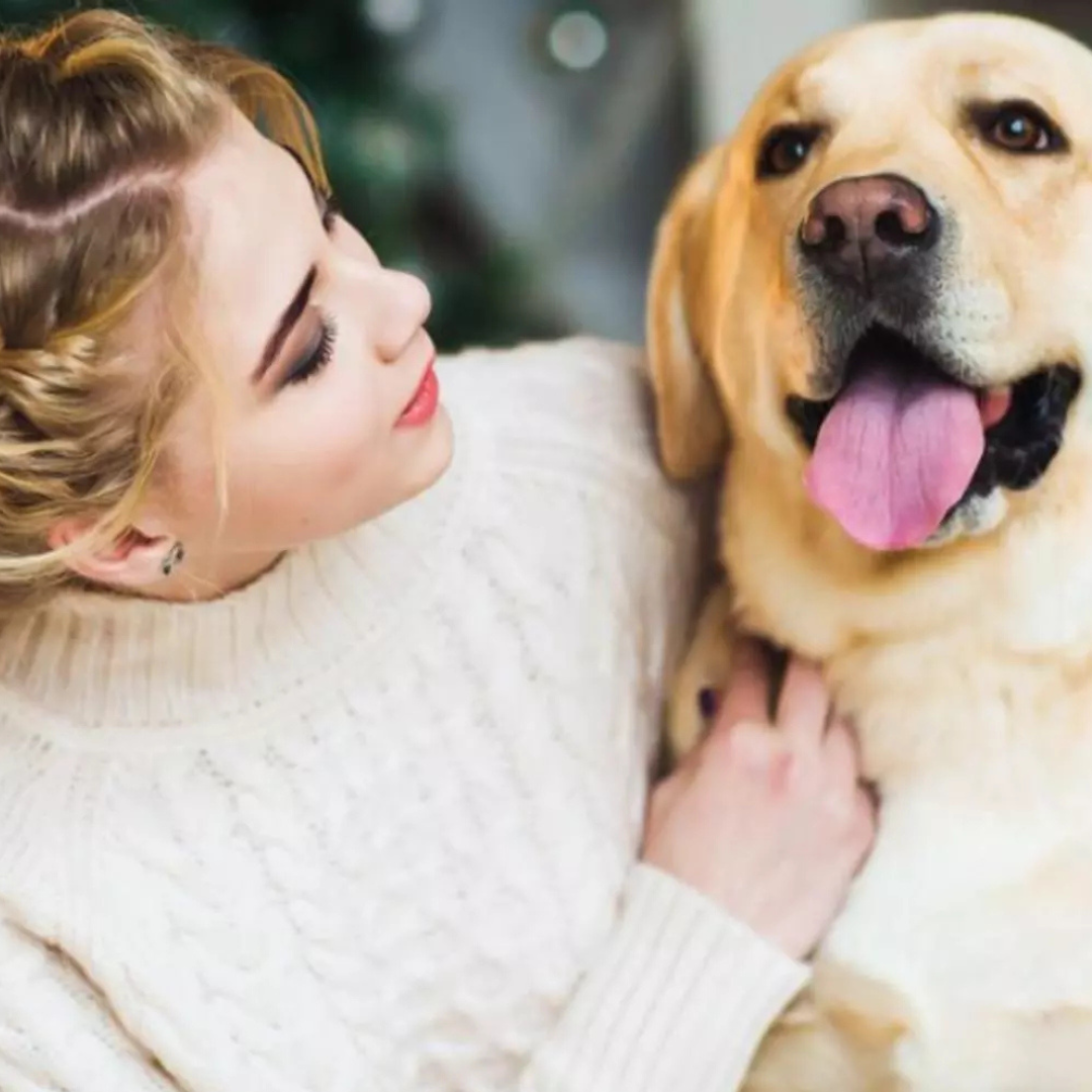 Spray natural pentru câini si pisici care elimină placa bacteriană și mirosurile neplăcute