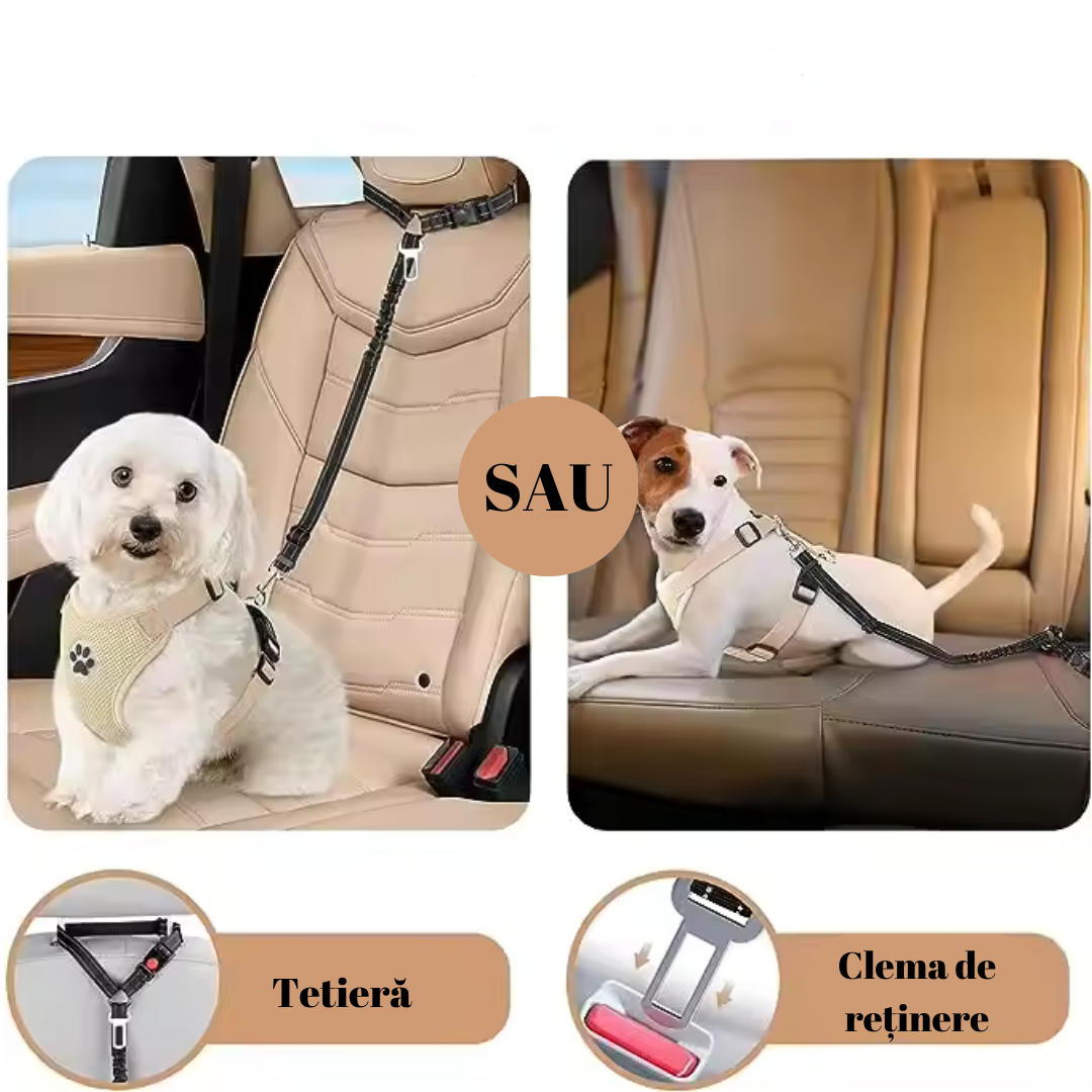 Lesă cu amortizor și prindere la centură auto