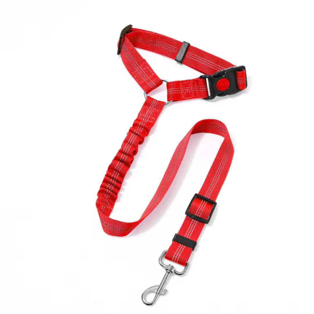 Lesă cu amortizor și prindere la centură auto