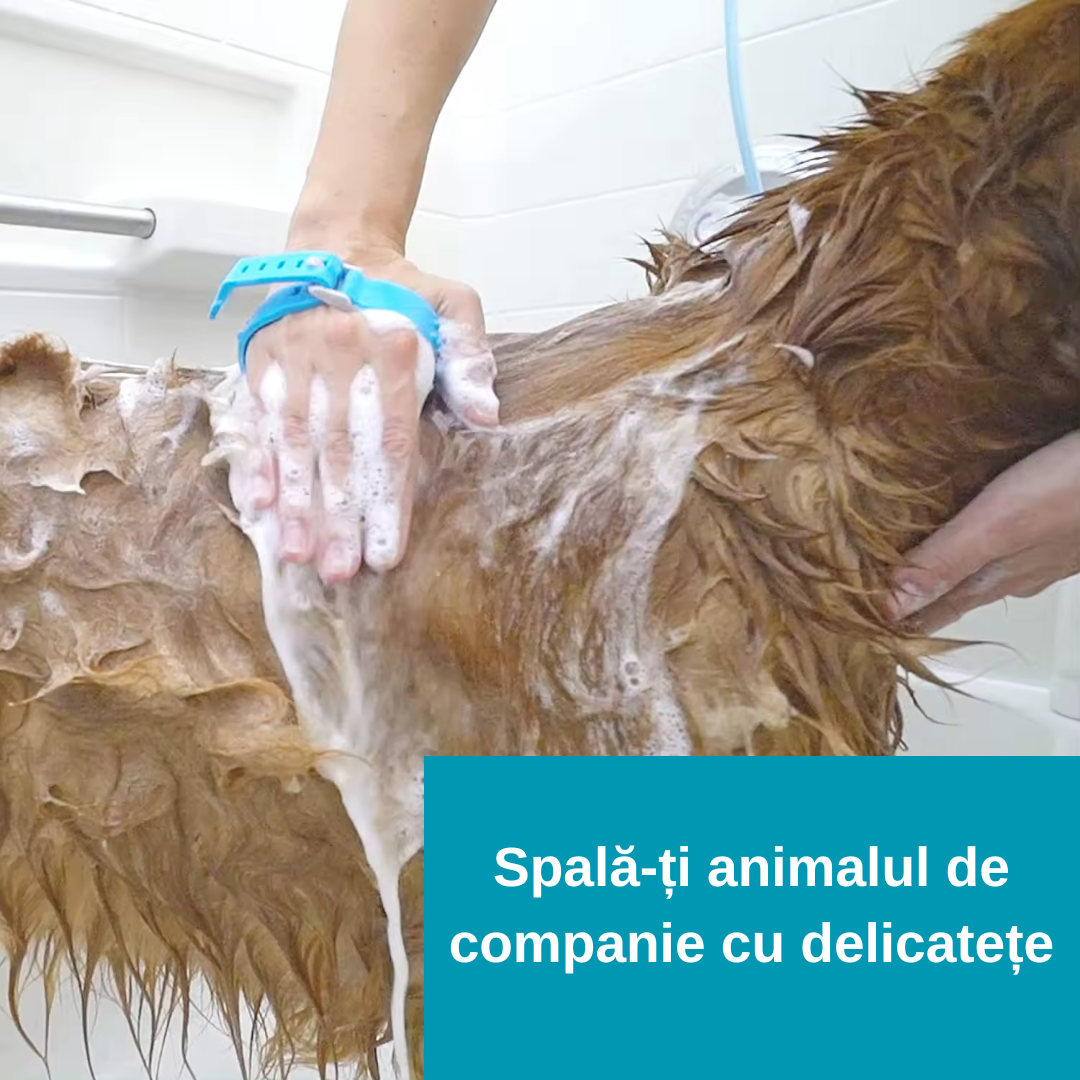 Aquapaw - Perie duș căței cu furtun silicon tip extensie robinet
