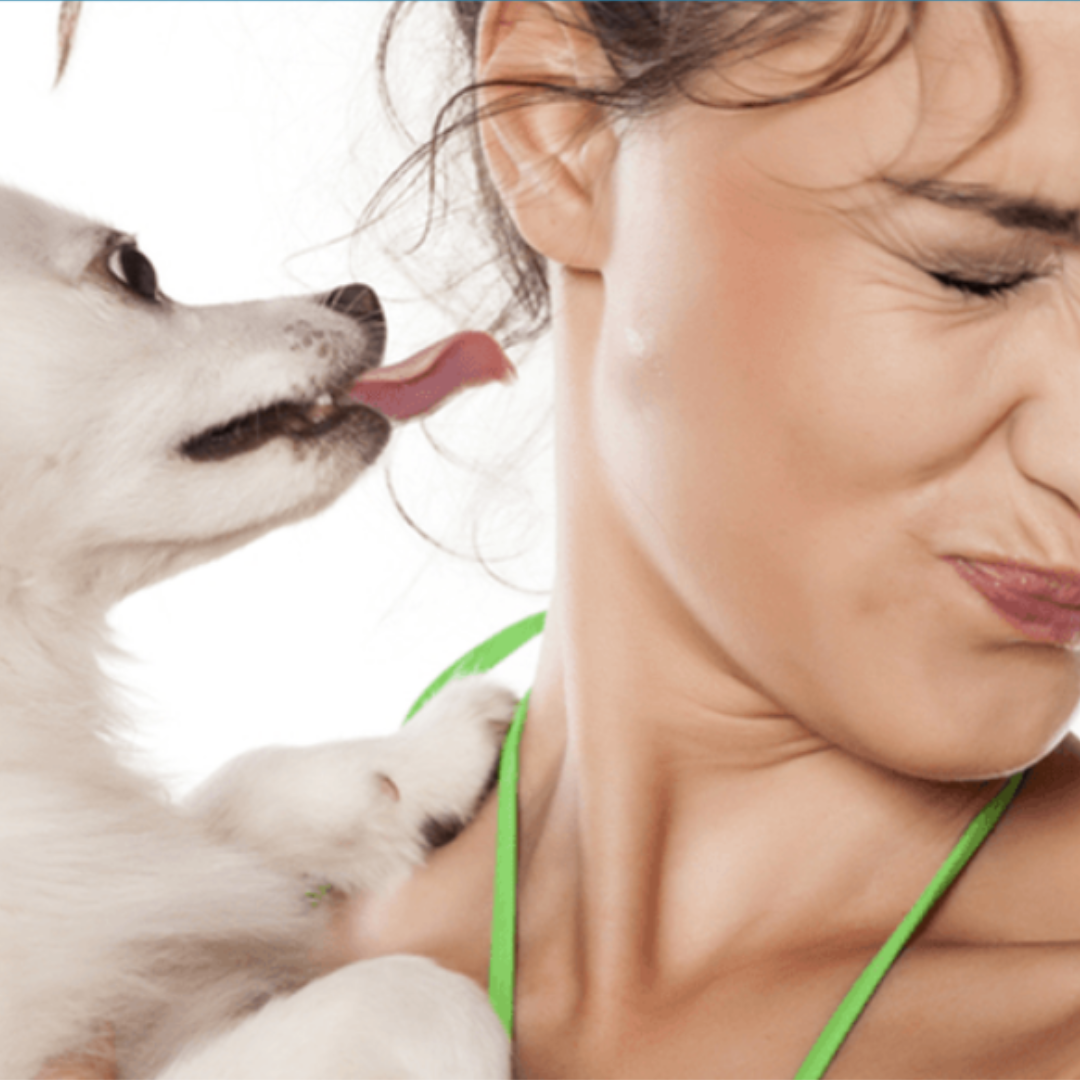 Spray natural pentru câini si pisici care elimină placa bacteriană și mirosurile neplăcute
