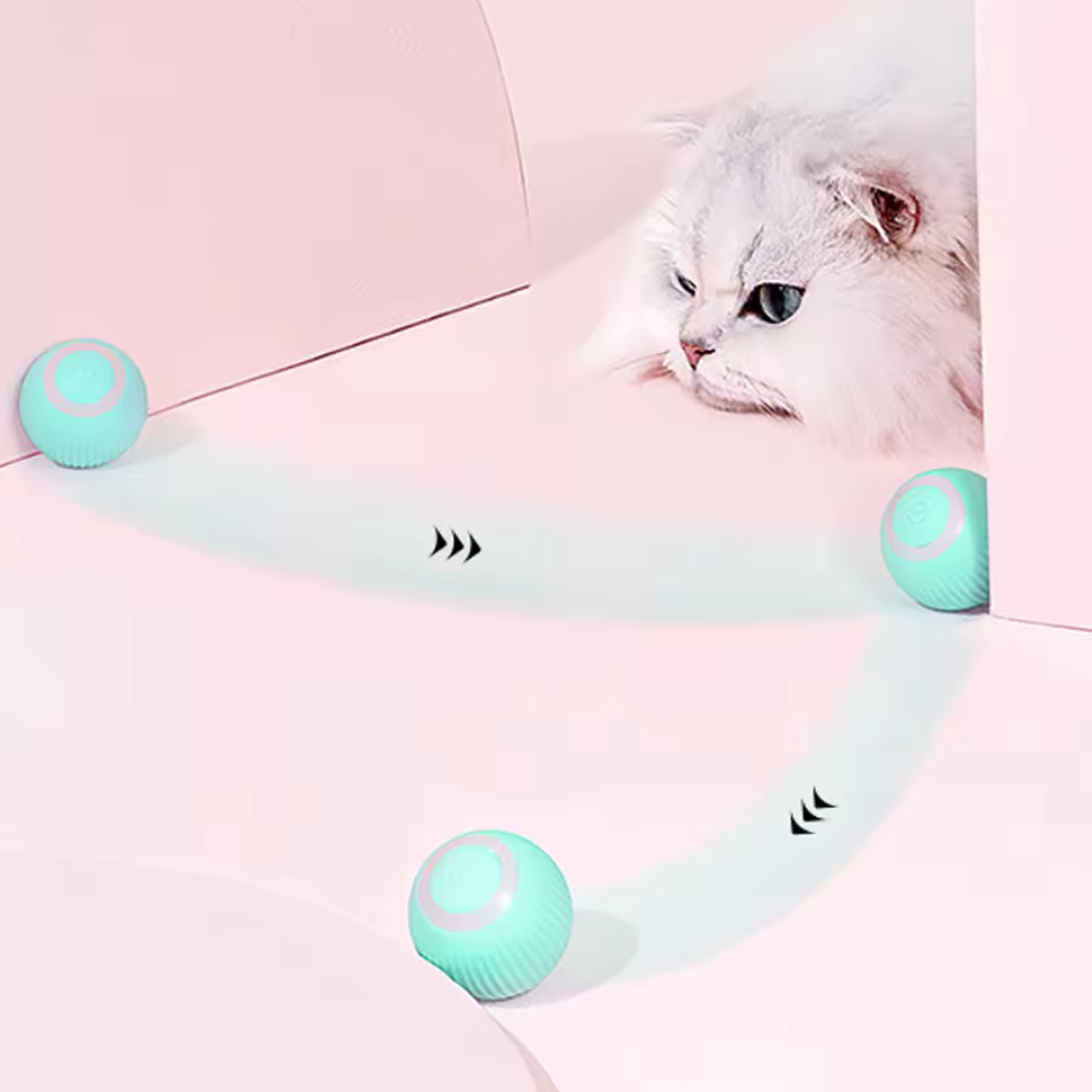 Jucărie cu rostogolire automată pentru pisici și căței