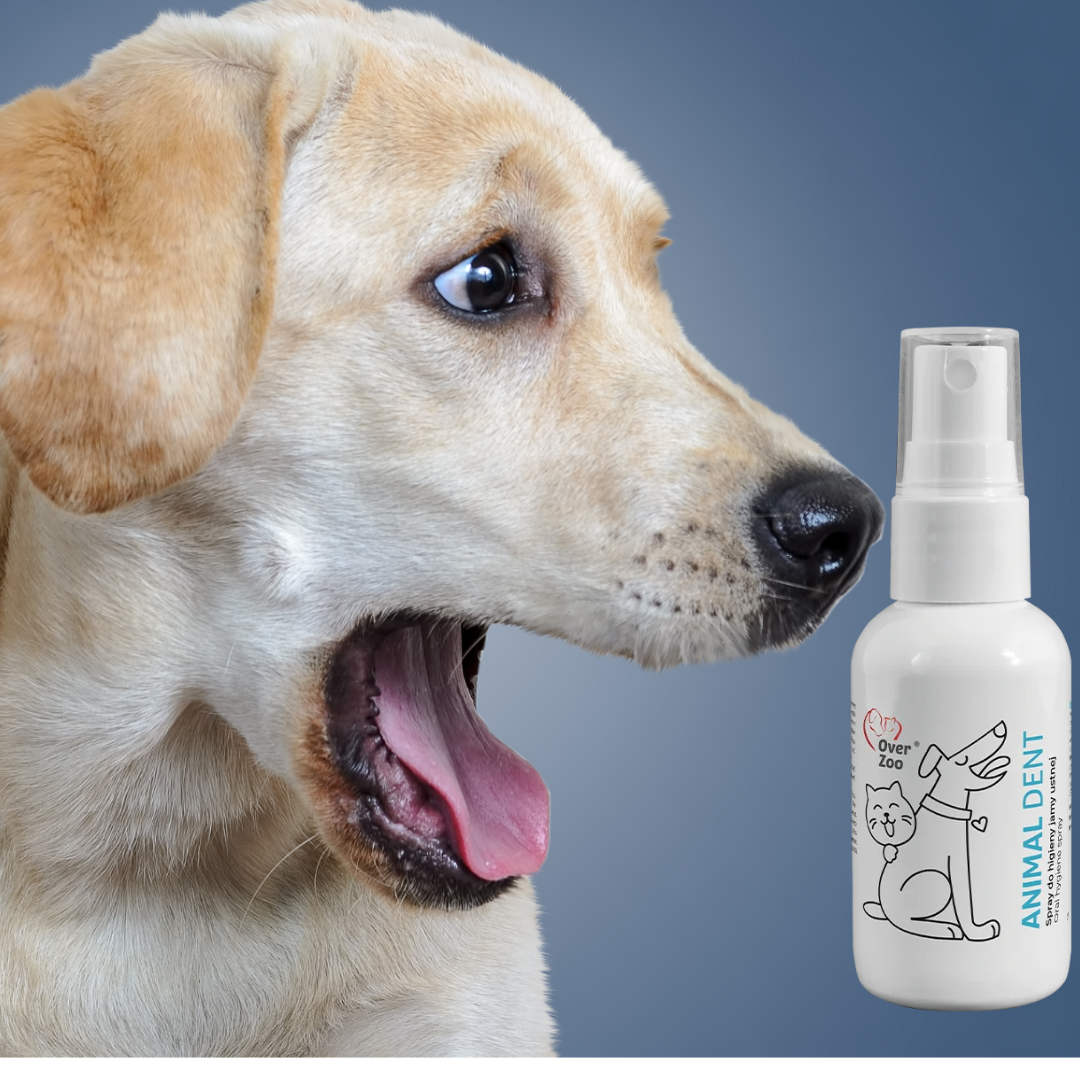 Spray natural pentru câini si pisici care elimină placa bacteriană și mirosurile neplăcute