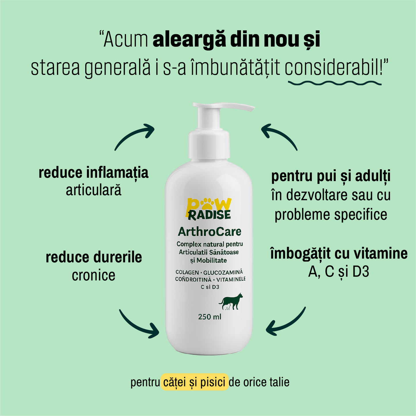 ArthroCare - Complex natural pentru articulatii sanatoase si mobilitate 250 ml