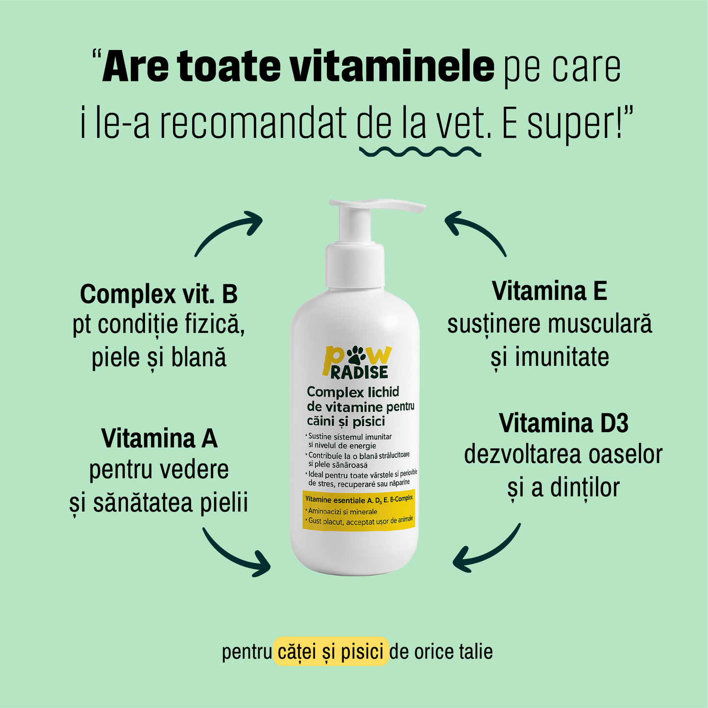 Complex lichid de vitamine pentru caini si pisici – Supliment natural cu A, D3, E si complex B