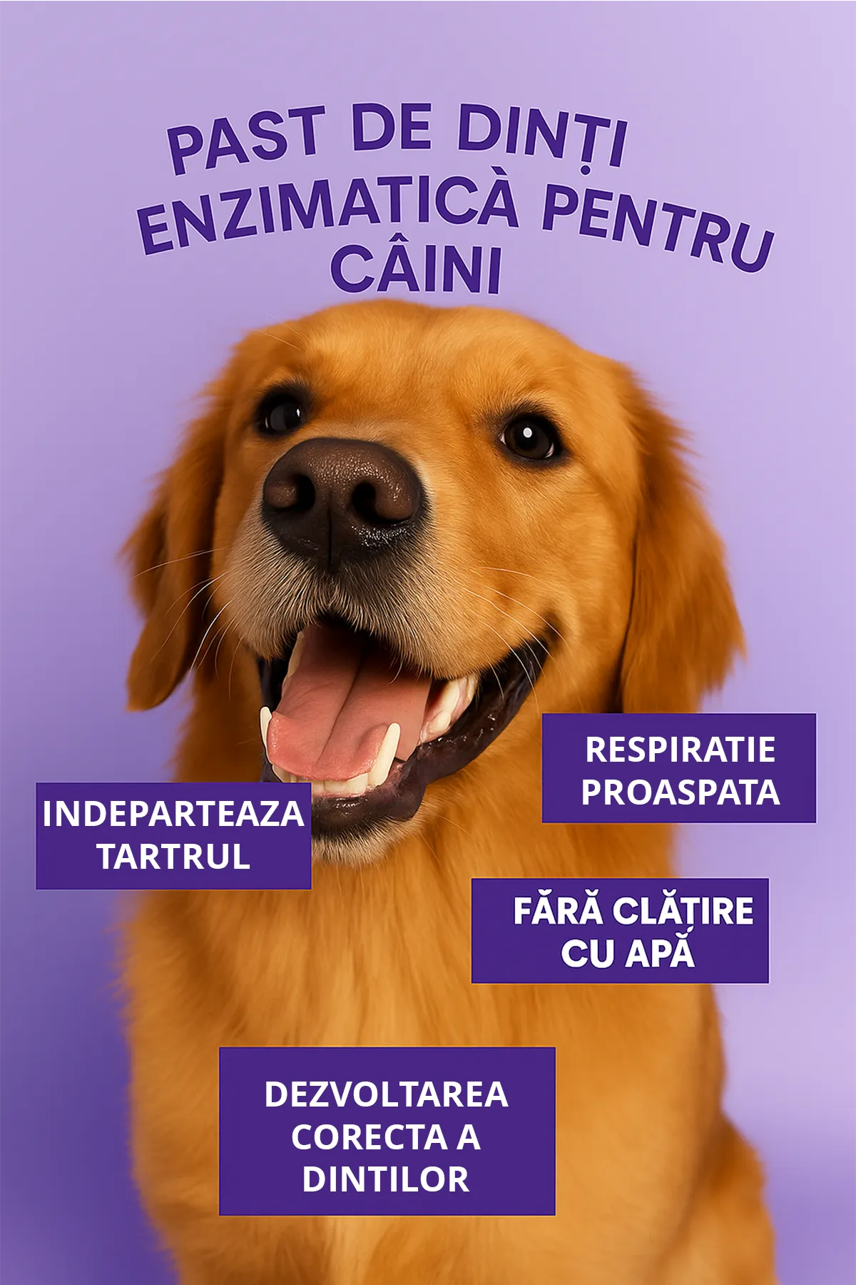 Pasta de dinti enzimatica – Zambet stralucitor pentru prietenii blanosi! banner
