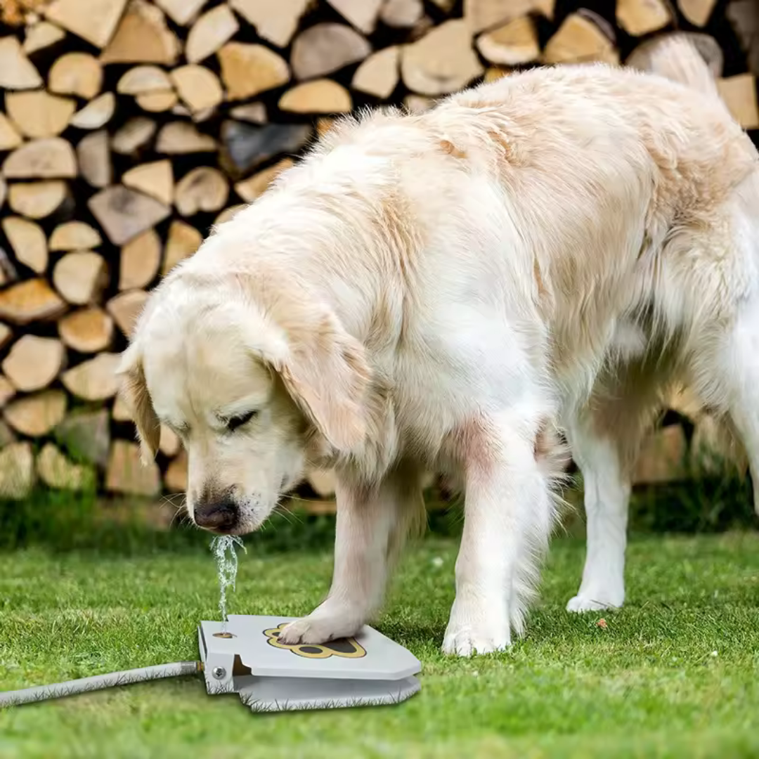 PawSplash Fountain 🚰 - Fântână cu Pedală pentru Câini, Distracție și Hidratare Non-Stop! 🐾