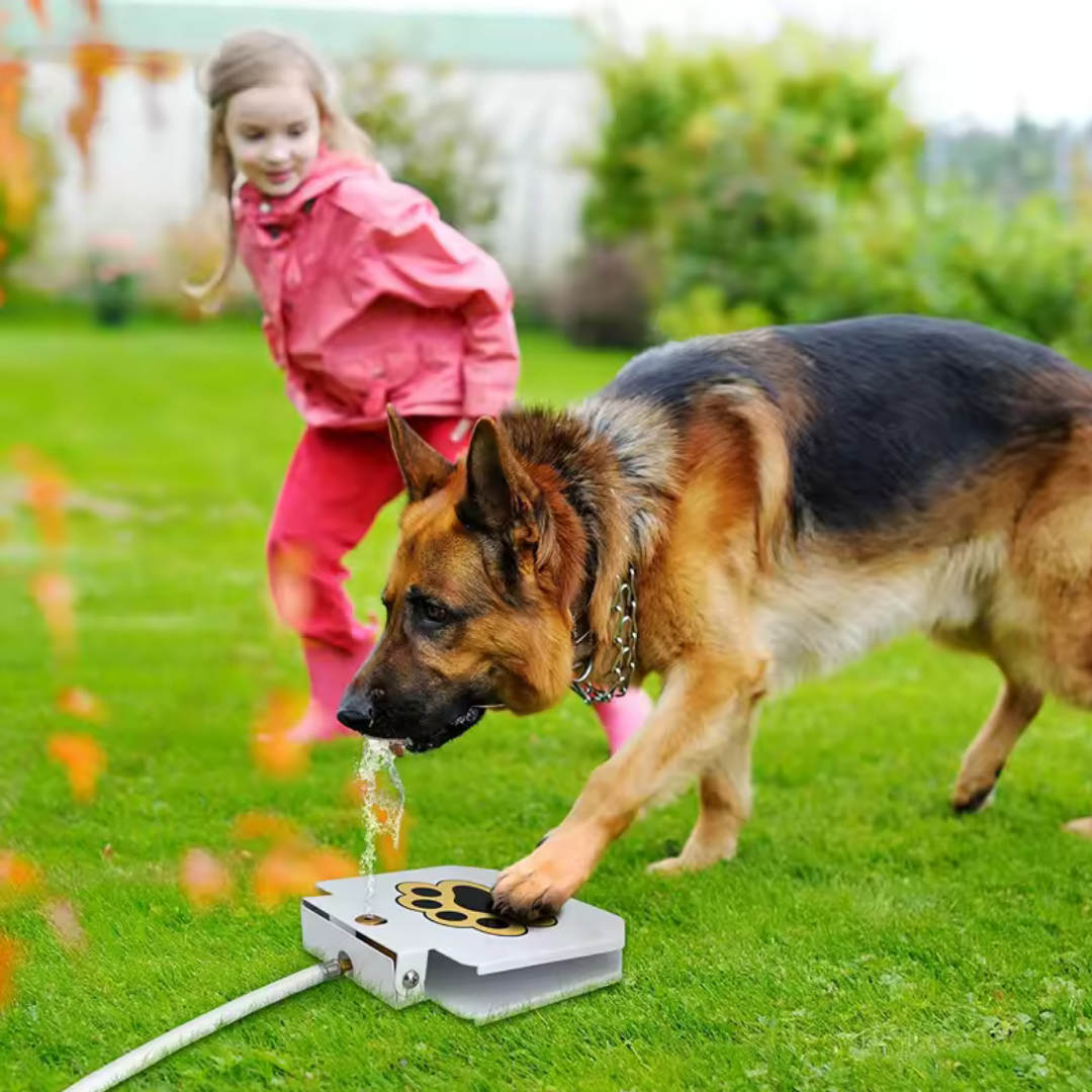 PawSplash Fountain 🚰 - Fântână cu Pedală pentru Câini, Distracție și Hidratare Non-Stop! 🐾