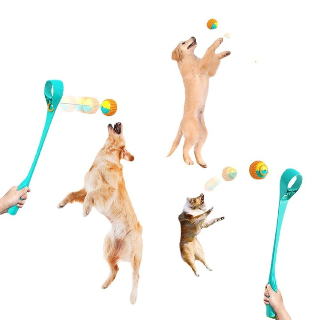 Lansatorul Magic de Mingii pentru Câini 🎾 - Distracție Garantată pentru Toți Patrupezii! 🐕🎉