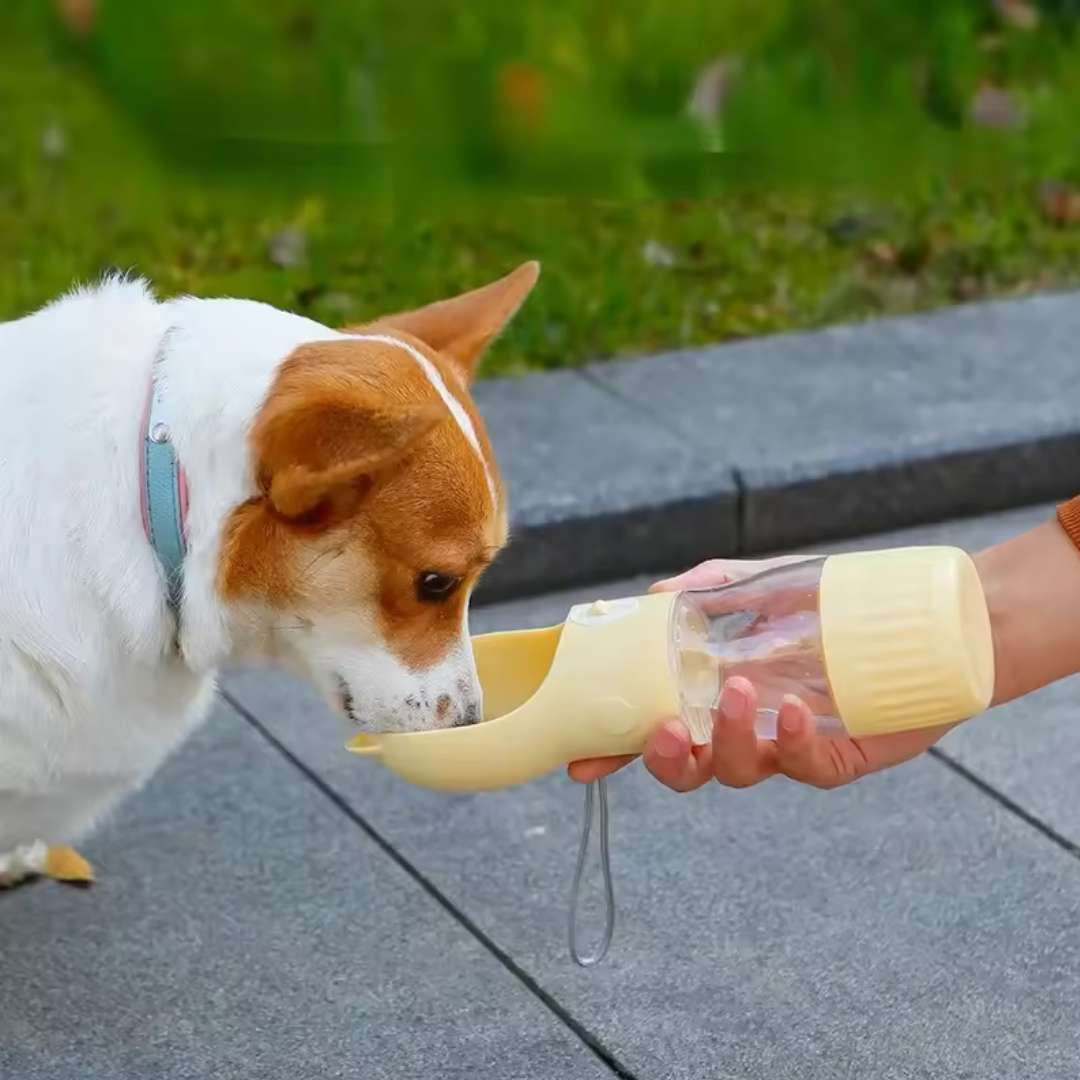 🐾 Recipient Portabil pentru Animale de Companie: Bucurie și Confort în Mișcare! 💧🐕