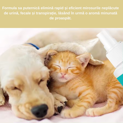 Spray Deodorant și Sterilizant pentru Animale de Companie: Pentru Un Miros Curat și O Blană Fericită! 🐶🌸🎉