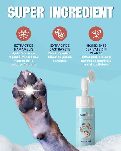 Spumă de curățare lăbuțe pentru căței și pisici