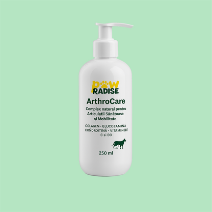 ArthroCare - Complex natural pentru articulatii sanatoase si mobilitate 250 ml