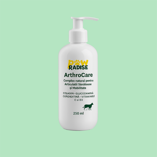 ArthroCare - Complex natural pentru articulatii sanatoase si mobilitate 250 ml