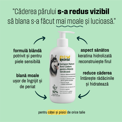 Șampon natural împotriva căderii părului - pH echilibrat, fără SLS/SLES, coloranți sau săruri